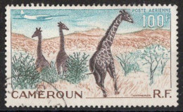 CAMEROUN  Timbre-Poste Aérienne N°47 Oblitéré TB Cote 3.00 € - Luftpost