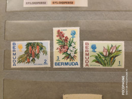 1970 Bermuda	Flowers (F41) - Bermuda