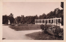 Vittel La Roseraie Et Sa Pergola - Vittel