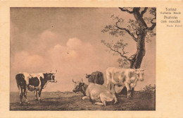 ITALIE - Torino - Galerie Royal - Prairie Avec Des Vaches - Carte Postale Ancienne - Altri & Non Classificati