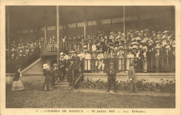 Bayeux * Carte Photo * Les Courses Hippiques Le 19 Juillet 1908 * Les Tribunes * Hippodrome Hippisme - Bayeux