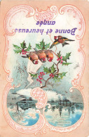 FETES ET VOEUX - Nouvel An - Des Oiseaux Chantonnant - Colorisé - Carte Postale Ancienne - Año Nuevo