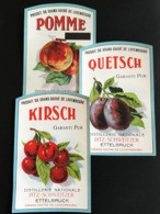 •• NEW ••  ETIQUETTES Anciennes PITZ SCHWEITZER  Ettelbruck Luxembourg Vers 1950/1960 Alcool Biere Brasserie Liqueur (3) - Luxemburg