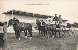 Le Haras Du Pin * Attelage De Demi Sang * Cheval * Hippisme Hippique - Autres & Non Classés