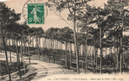 FRANCE  - Cap Ferret - Côte D'argent - Route Dans La Forêt -  Carte Postale Ancienne - Sonstige & Ohne Zuordnung