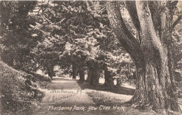 PHOTOGRAPHIE - Sherborne Park - Carte Postale Ancienne - Photographie