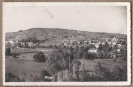 CPSM 69 - JULIENAS - Vue Générale Du Bourg , Les Poupets , La Côte Des ?? Ses Vins Renommés - TB Vue D'ensemble - Julienas