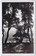 85 - Ile De Noirmoutier (Vendée) - Bois De La Chaize - Contre-jour Au Fort Saint-Pierre - Noirmoutier