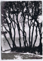 85 - Ile De Noirmoutier (Vendée) - Vue Prise Du Tambourin - Noirmoutier