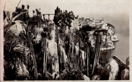 MONACO    .  LE ROCHER  DE MONACO VU DES JARDINS EXOTIQUES - Giardino Esotico