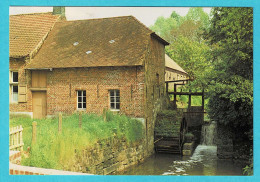 * Maarke Kerkem - Maarkedal (Oost Vlaanderen) * (Foto R. Buysse) Ter Borcht Molen, Mouin à Eau, Mill, Muhle - Maarkedal