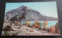 Cedar Mountain And Buffalo Bill Reservoir - Haynes Studios, Bozeman, Montana - Andere & Zonder Classificatie