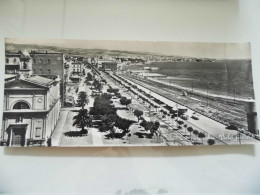 Cartolina Panoramica Viaggiata "CIVITAVECCHIA Viale Garibaldi" 1956 - Civitavecchia