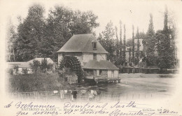 Le Mans * Environs * Moulin Sur La Sarthe * Molen Minoterie - Le Mans