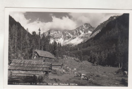 D5279) SCHWUSSNERALM Bei MALLNITZ - Kärnten - Mit Säuleck U. Kühen - Mallnitz