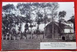 BRUGELETTE  - Ecole Normale Et Pensionnat De L'Enfant Jésus - Vue Prise Du Côté Ouest - Brugelette