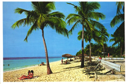 ANTILLES, BAHAMAS, FREEPORT, HOLIDAY INN, BEACH, SEA, PALM TREES - Bahamas