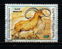 TUNISIA - 1980 - MUFLONE - USATO - Tunisie (1956-...)