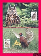 TRANSNISTRIA 2019 Europa CEPT Theme Nature Fauna National Birds Owl Pheasant 2 Maximum Cards Set - 2019