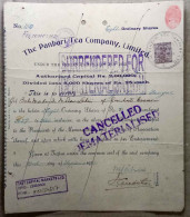 INDIA 1924 THE PANBARI TEA COMPANY LIMITED.....SHARE CERTIFICATES - Agriculture