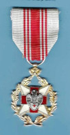 Médaille De La Croix-Rouge De Belgique - Autres & Non Classés