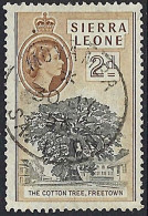 SIERRA LEONE 1956 2d Black & Brown SG213 FU - Sierra Leone (...-1960)
