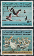 THEMATIC FAUNA:  BANC D'ARQUIN, PELICANS AND FLAMINGOS  -  MAURITANIE - Flamingo's