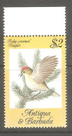 Barbuda MNH** - Piciformes (pájaros Carpinteros)