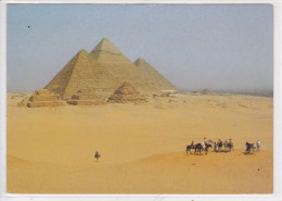 - ÄGYPTEN - EGYPT - DYNASTIE- ÄGYPTOLOGIE - PYRAMIDE - ANSICHTSKARTEN - POST CARD - USED - Sfinge