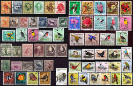 SALE !! 50 % OFF !! ⁕ AUSTRALIA ⁕ Flora & Fauna Collection ⁕ 64v Used - Scan - Collections