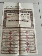 ACTION LES PLATRIERES DE SOSPEL  QUASI NEUVE  TTB  PEU COURANT 1927 - Industrie