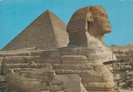 - ÄGYPTEN - EGYPT - DYNASTIE- ÄGYPTOLOGIE - ANSICHTSKARTEN - POST CARD - GEBRAUCHT - Sphinx