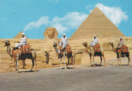 - ÄGYPTEN - EGYPT - DYNASTIE- ÄGYPTOLOGIE -ARCHIOLOGIE - POST CARD - CHEPHREN PYRAMIDE - Pyramiden