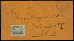 COSTA RICA. 1901. Limon - USA. Fkd + Taxed Env. Intended A P Matter Rate. - Costa Rica