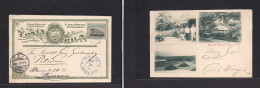 COSTA RICA. 1901 (14 May) German Consular Mail. San Jose - Germany, Postdam (3 June) Private Print Tarjeta Postal UPU St - Costa Rica