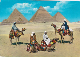 - ÄGYPTEN - EGYPT - DYNASTIE- ÄGYPTOLOGIE - PYRAMIDE IN GIZEH - POST CARD - GEBRAUCHT - Sfinge