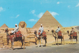 - ÄGYPTEN - EGYPT - DYNASTIE- ÄGYPTOLOGIE - SPHINX AUF CHEOPSPYRAMIDE - POST CARD - USED - Sfinge