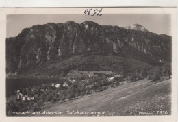 D5379) UNTERACH Am ATTERSEE - Salzkammergut - Blumenwiese U. Blick Auf Häuser Bergwand U. See - Attersee-Orte