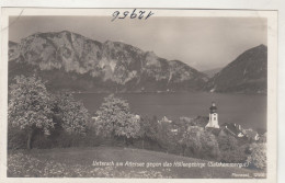 D5381) UNTERACH Am ATTERSEE - Salzkammergut - Blühende Bäume Mit Kirche Gegen Das Höllengebirge S/W ALT - Attersee-Orte