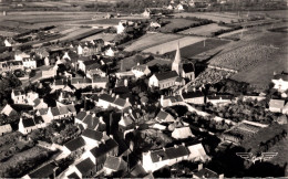 50 - BLAINVILLE / VUE GENERALE AERIENNE - Blainville Sur Mer