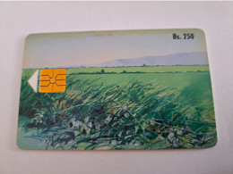 BOLIVIA  BS 250/ GREEN FIELD / CHIPCARD  /  NICE USED CARD     ** 15472** - Bolivia