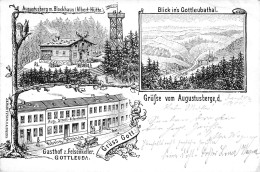 Bad Gottleuba - Mehrbild Litho Gel.1904 AKS - Bad Gottleuba-Berggiesshuebel