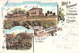 Lösnitz-Gruß Von D.Wilhelmshöhe Mehrbild Litho Gel.1899 AKS - Lössnitz