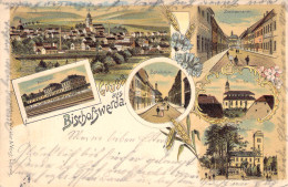 Gruß Aus Bischofswerda - Mehrbild Litho Gel.1898 AKS Bahnpost - Bischofswerda