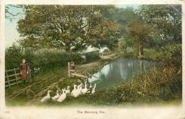 United Kingdom England Ventnor Cascade - Ventnor