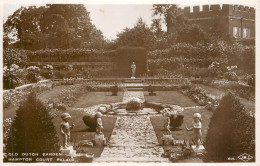 United Kingdom England London > Hampton Court Dutch Garden - Hampton Court