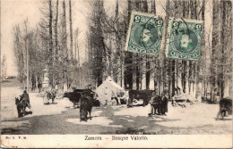 Espagne - ZAMORA - Bosque Valorio - Timbres - Zamora