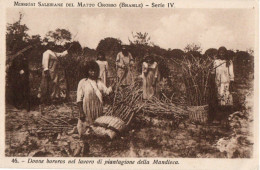 MISSIONI SALESIANE MATTO GROSSO - BRASILE - DONNE BOROROS NEL LAVORO DI PIANTAGIONE DELLA MANDIOCA - Cuiabá