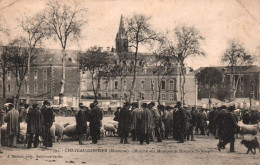 Château Gontier - Marché Aux Moutons Et Hospice Saint Joseph - Foire - Chateau Gontier