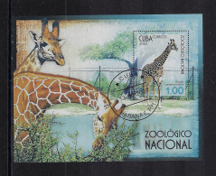 CUBA 2007 NATIONAL ZOO SCOTT 4688 CANCELLED - Usati